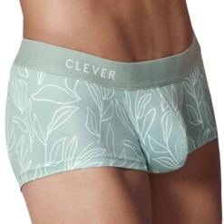 Boxer Court Création Vert