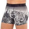 Boxer Urban Jungle Microfibre Noir
