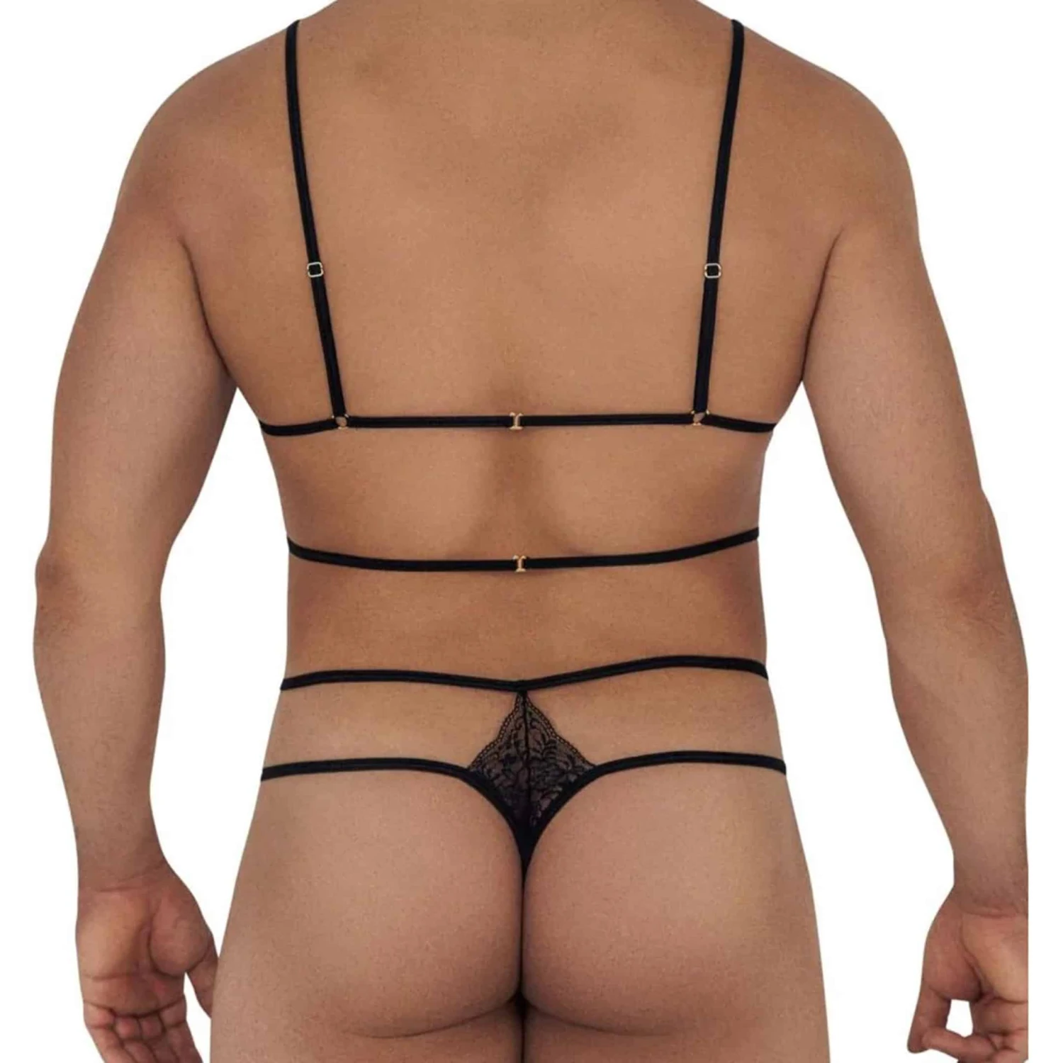 Ensemble Harnais - String Serpent