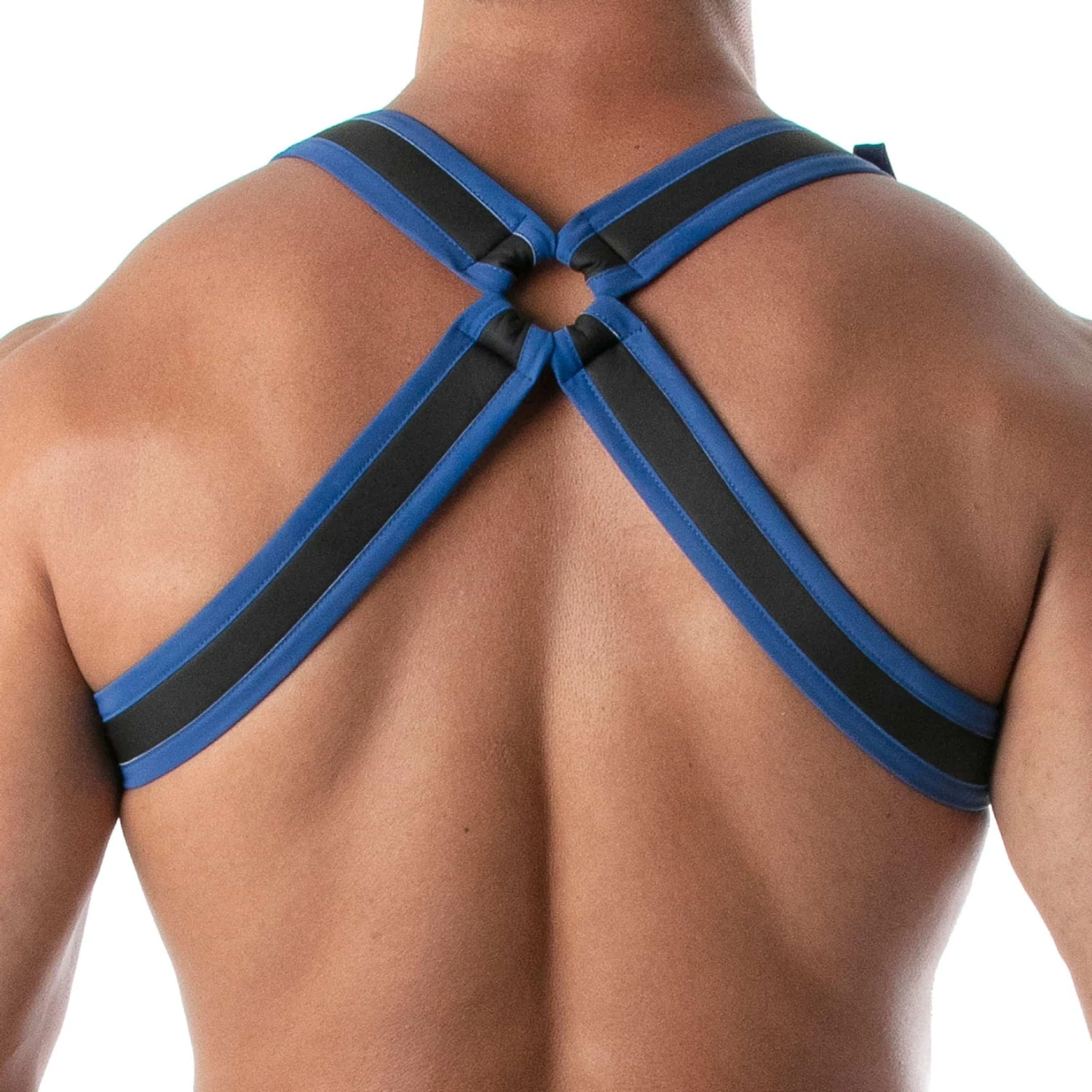 Harnais Bulldog Neoprene Noir - Bleu â Image 2