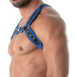 Harnais Bulldog Neoprene Noir - Bleu