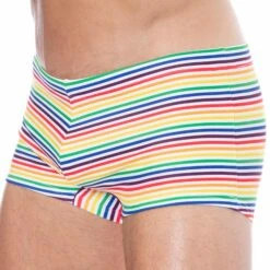 Shorty De Bain Rainbow Stripes Multicolore