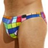 Slip De Bain Low Cut Inclusive Multicolore